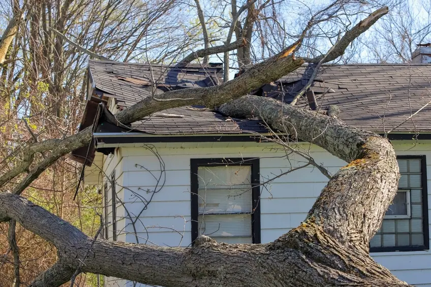 Tree limb storm damage on a house roof